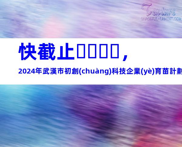 快截止，2024年武漢市初創(chuàng)科技企業(yè)育苗計劃申報條件、相關(guān)內(nèi)容